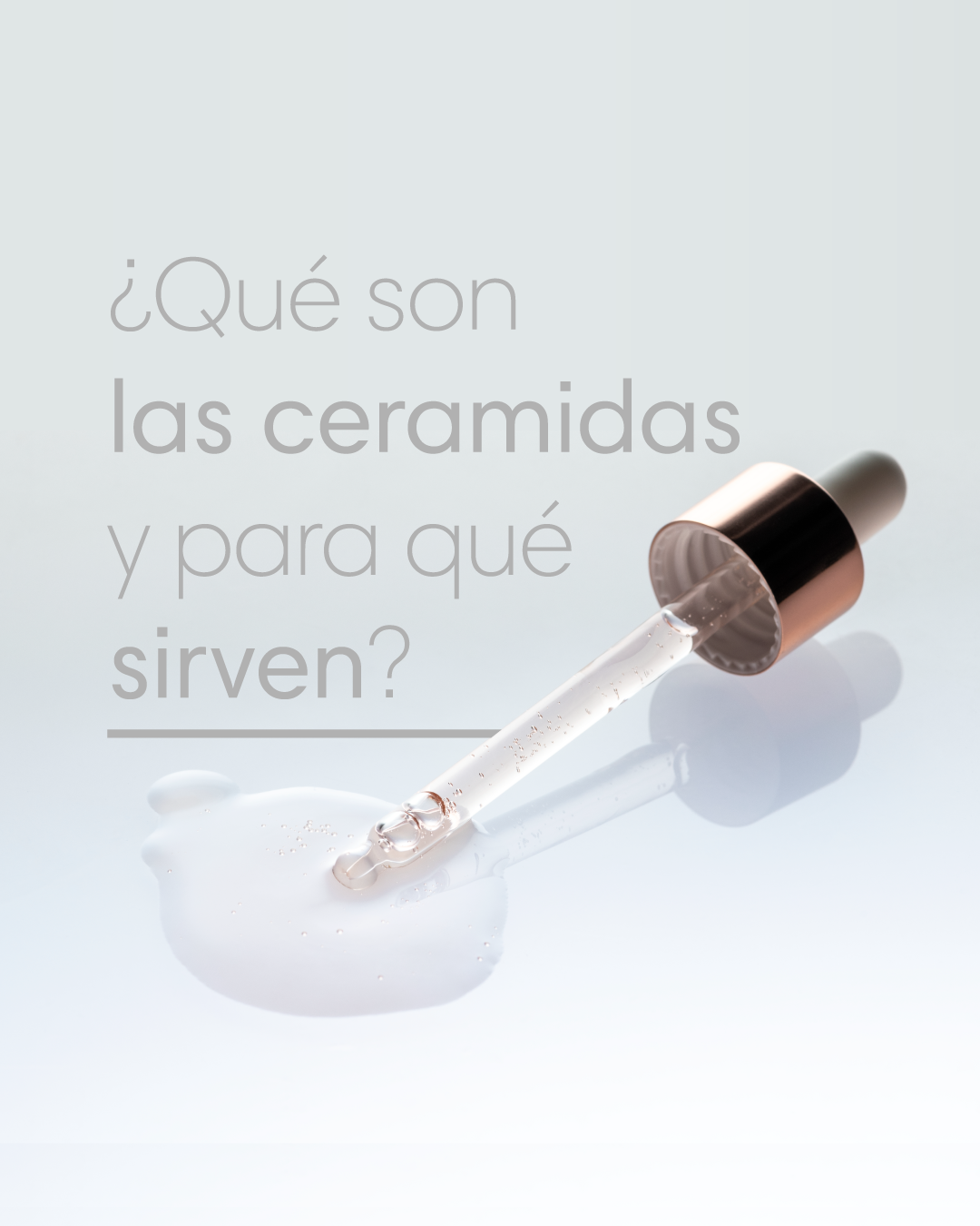¿Qué son las ceramidas y para qué sirven?
