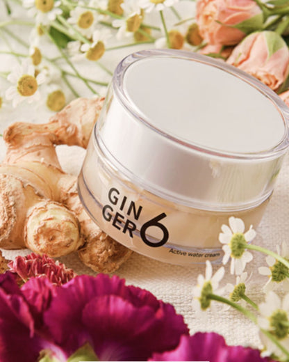 Active Water Cream | Crema Hidratante Coreana