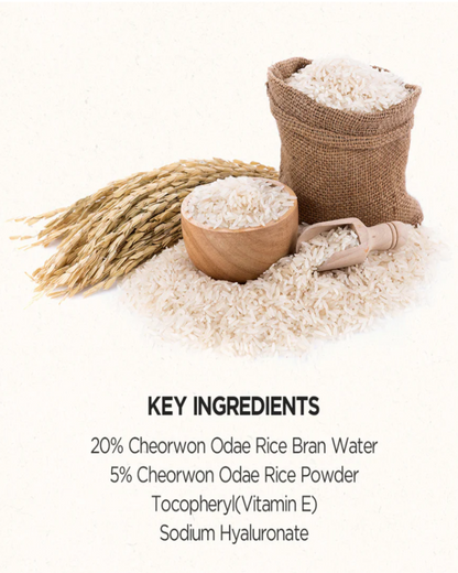 Rice Daily Brightening  mask wash off 210gr - SKINFOOD